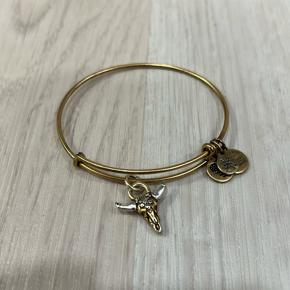 Alex and Ani Gold Bullhead Bracelet